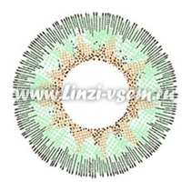 Цветные линзы EOS Anuna Grey Green Фото 3